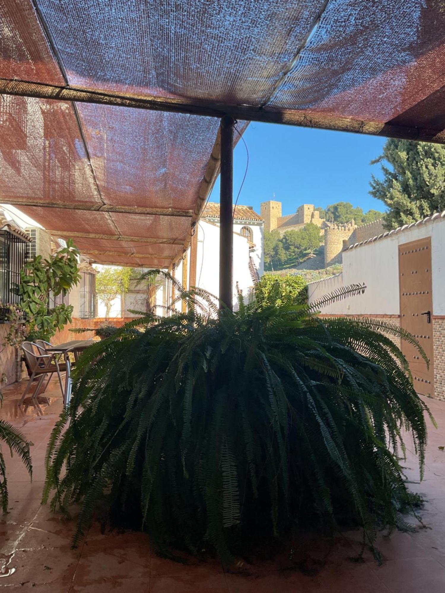 Casa Rural Antikaria アンテケラ エクステリア 写真